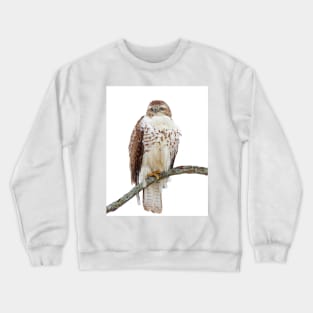 Red-tailed Hawk - Perched Crewneck Sweatshirt